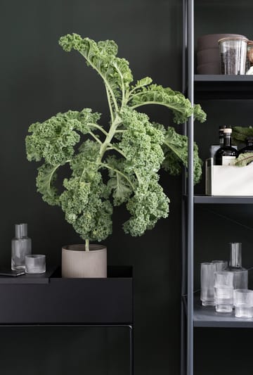 ferm LIVING Plant Box - Schwarz - ferm LIVING