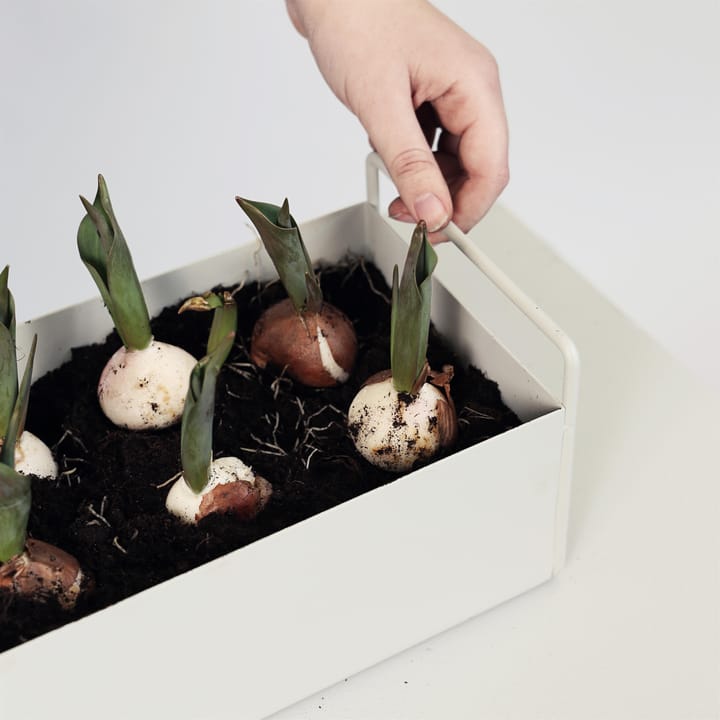 ferm LIVING Plant Box small, Hellgrau ferm LIVING