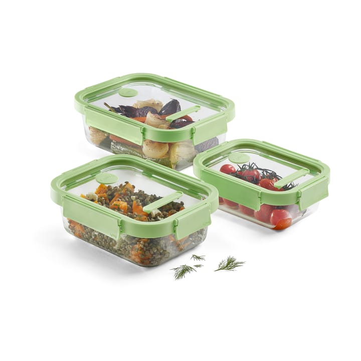 Lékué rechteckige Lunchbox Glas 0,64 L, Grün Lékué