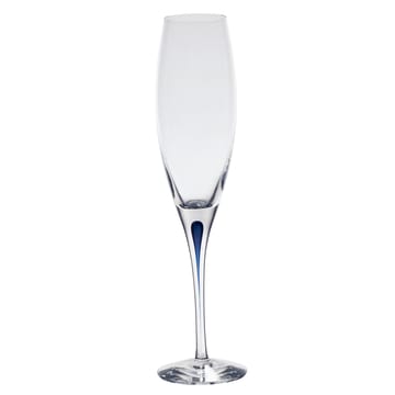 Intermezzo Champagnerglas - 26cl - Orrefors