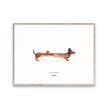 Doug the Dachshund Poster - 30 x 40cm - Paper Collective