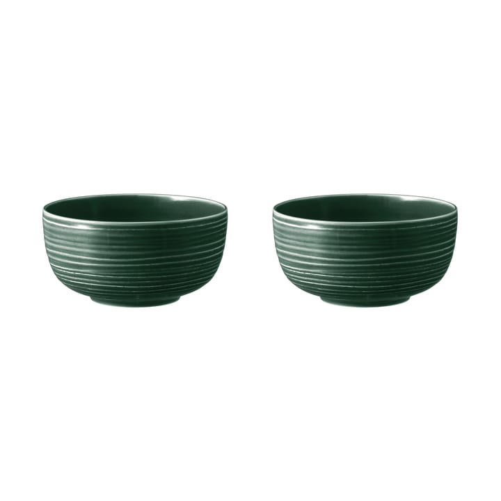 Terra Schale Ø17,7cm 2er Pack, Moss Green Seltmann Weiden