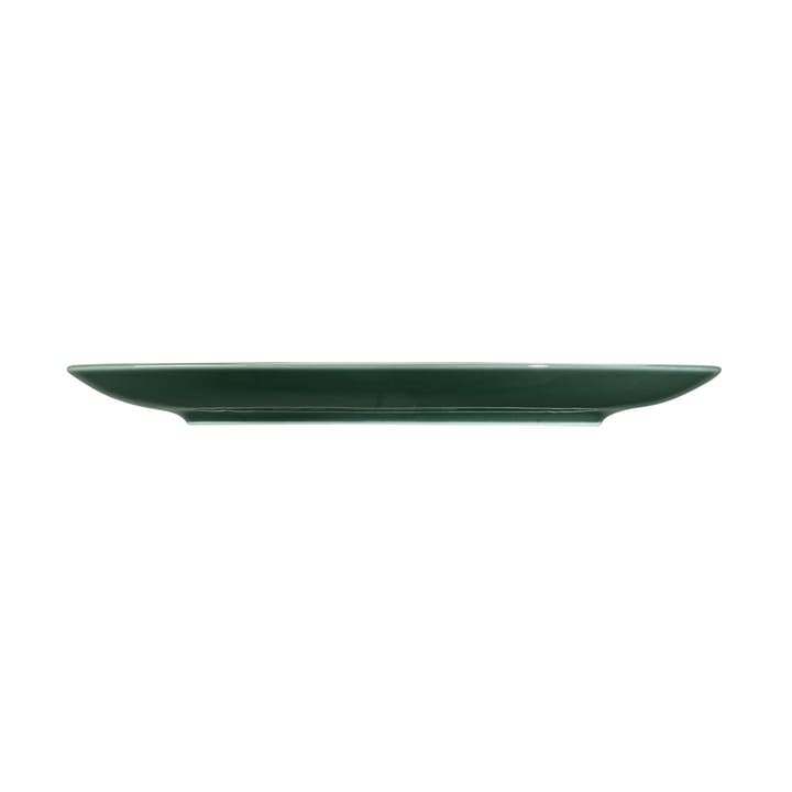 Terra Teller Ø22,7cm 6er Pack, Moss Green Seltmann Weiden