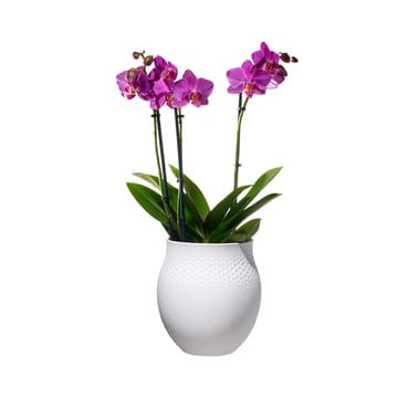 Collier Blanc Perle Vase - Groß - Villeroy & Boch