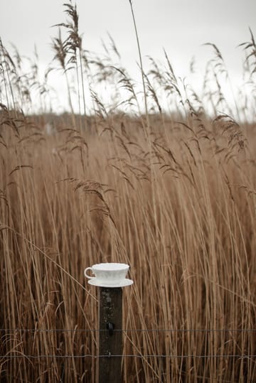 Slåpeblom Teetasse und Untertasse 30cl - Grün - Wik & Walsøe