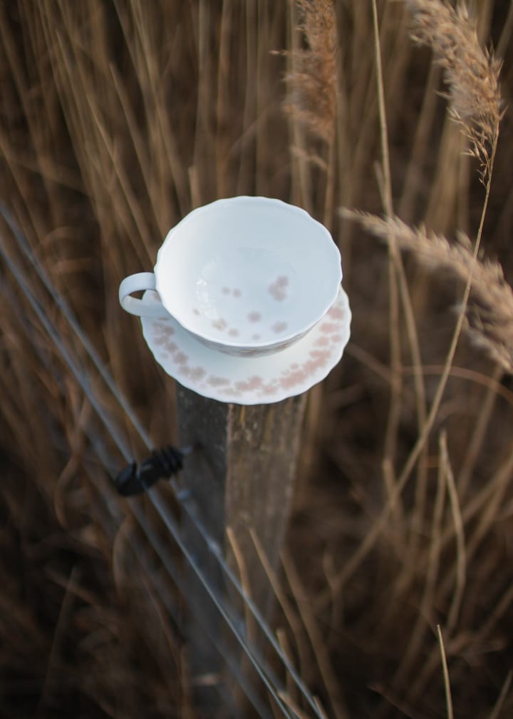 Slåpeblom Teetasse und Untertasse 30cl, Rosa Wik & Walsøe